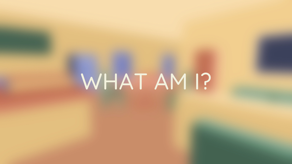 What Am I?